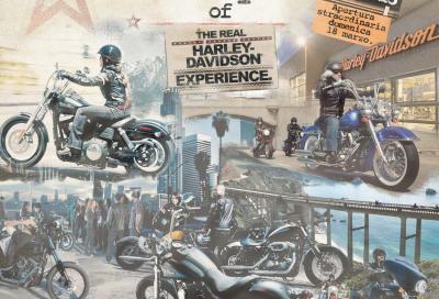 Harley-Davidson Spring Break 2012