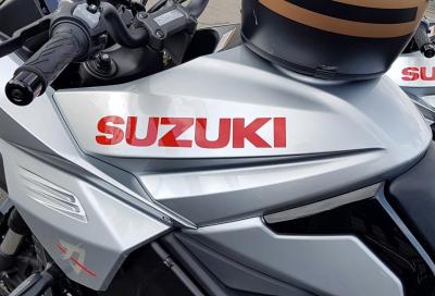 I modelli Suzuki 2019