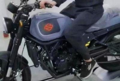 Harley-Davidson, pronta una nuova 500 cc