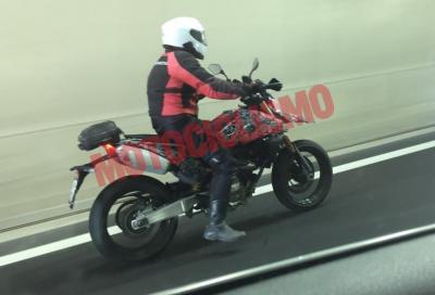 Nuove foto spia della Ducati Hypermotard monocilindrica 