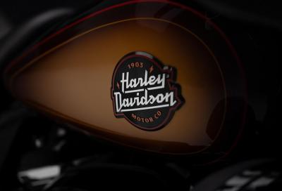 Il prezzo della nuova Harley-Davidson Low Rider ST Tobacco Fade